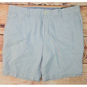 Polo Ralph Lauren Mens Classic Fit 9" Blue Striped Shorts 38